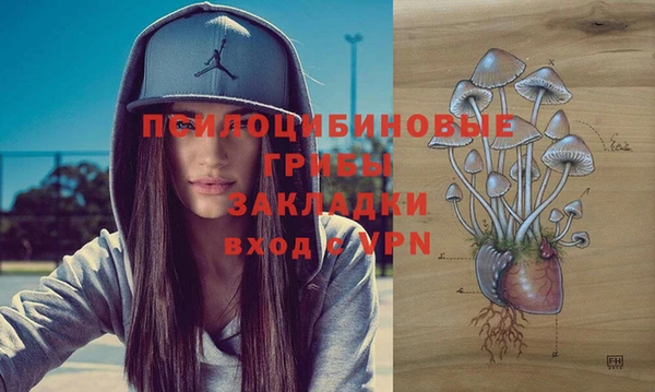 гашик Ветлуга