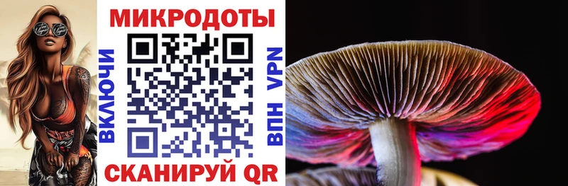 Галлюциногенные грибы Psilocybe цена Ликино-Дулёво